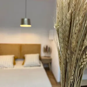  Appartement 4m Studio